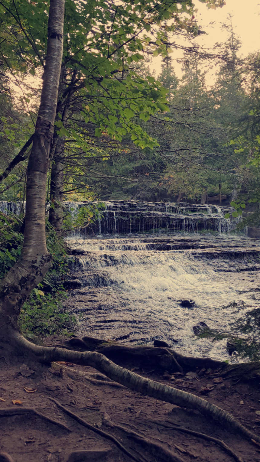 A serene view of Au Train Falls in Michigan, where water cascades behind a foreground tree with exposed roots. The falls are surrounded by dense woodland, creating a tranquil, forested landscape of flowing water and native trees.
