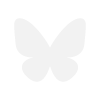 Bluesky icon linking to Aeviternal Designs on Bluesky.