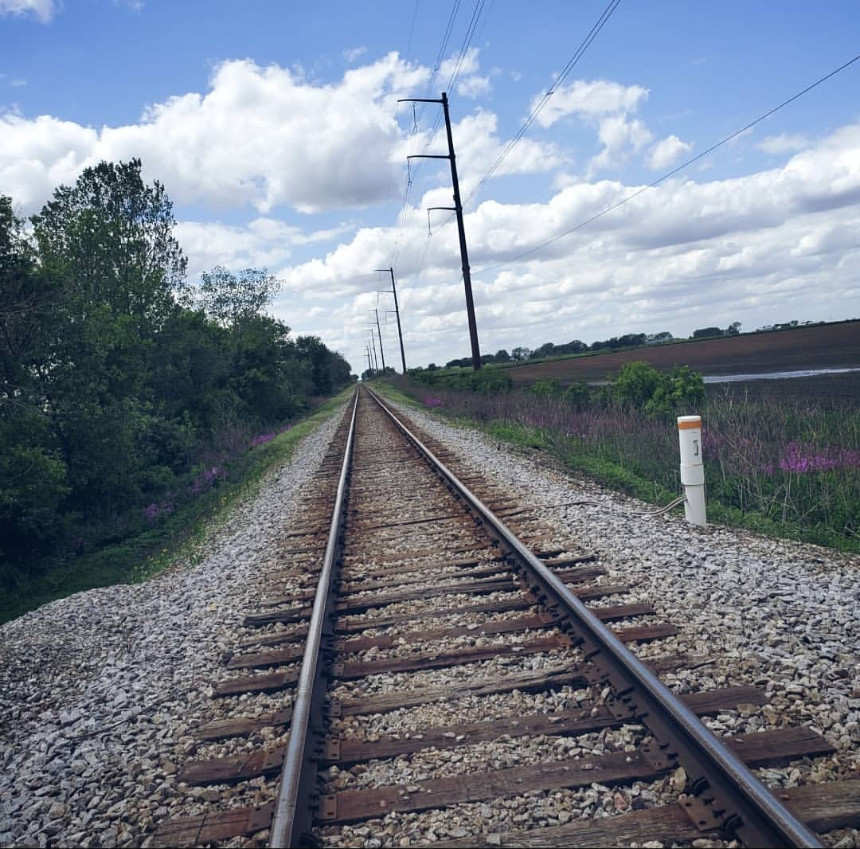 Railroad tracks stretch through rural Illinois, flanked by a lush tree-lined path on one side and a field of vivid purple wildflowers on the other. Overhead, a blue sky with scattered clouds is traced by power lines, while stones beneath the rails add texture to the peaceful countryside view.